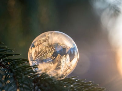 12/21/23 Winter Solstice Ritual