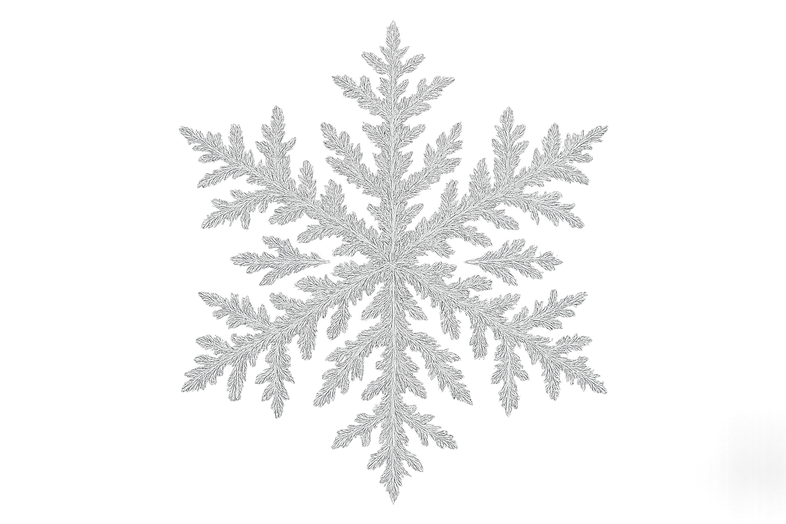 Winter Solstice – Cipher Flower