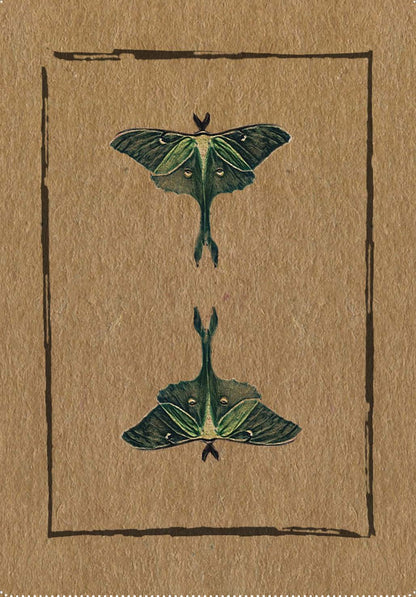 Conjure Cards: Fortune-Telling Card Deck and Guidebook