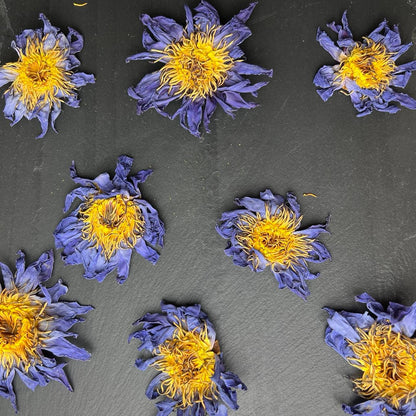 Blue Lotus Whole Flower | 2oz - 1 KG | Bulk