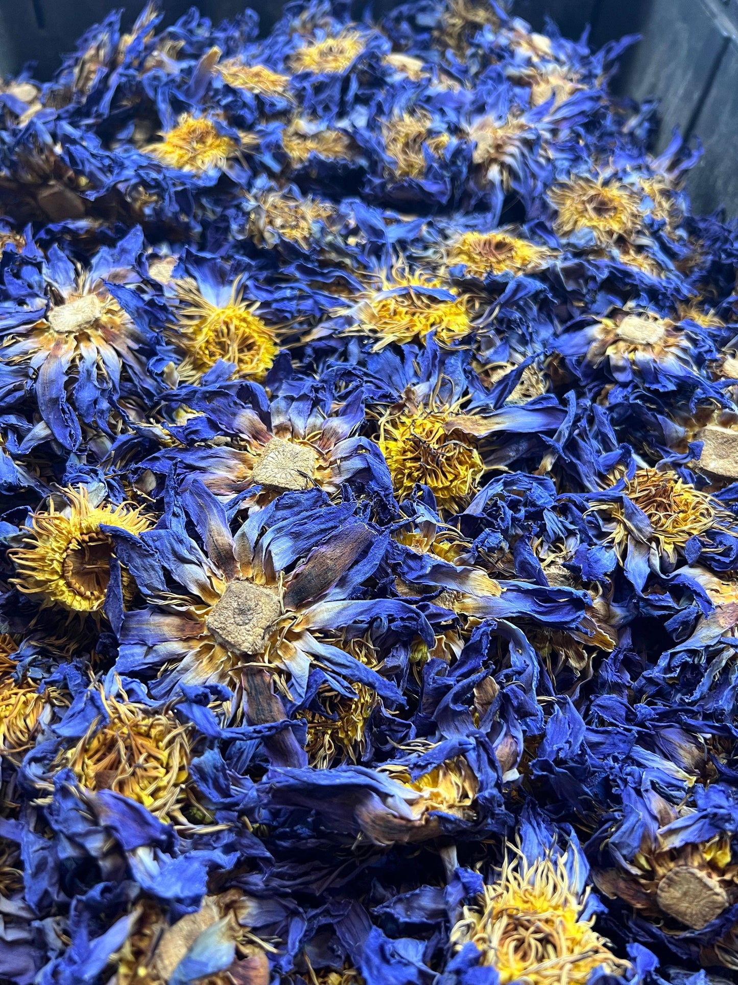 Blue Lotus Whole Flower | 2oz - 1 KG | Bulk