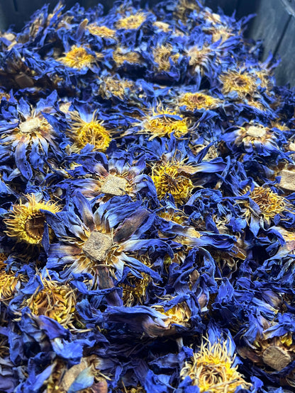 Blue Lotus Whole Flower | 2oz - 1 KG | Bulk