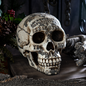 Ouija Spirit Skull Head