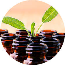 Ciphers Oil Chest – Cipher Flower