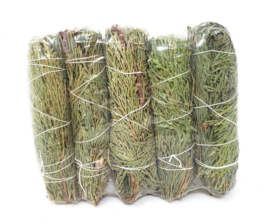 Cedar Sage 5-6 inches